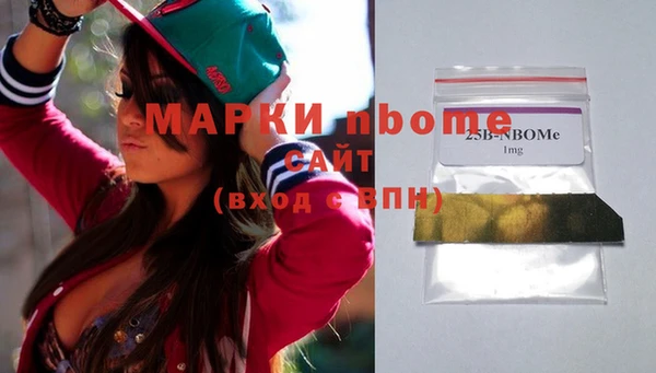 индика Балахна