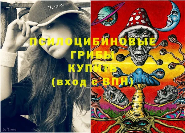 индика Балахна