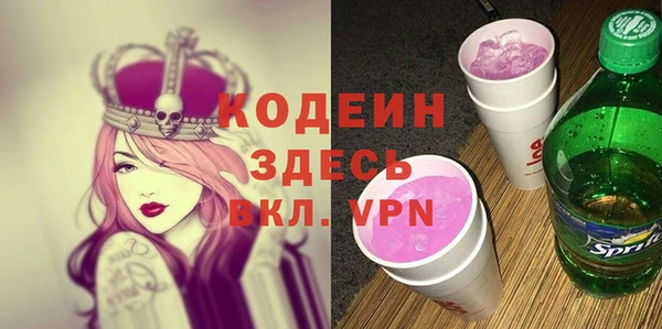 индика Балахна