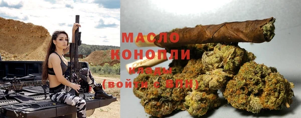 индика Балахна