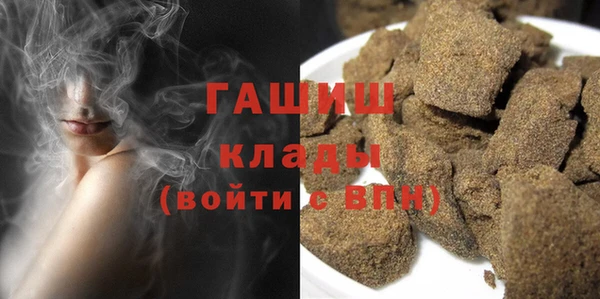 индика Балахна