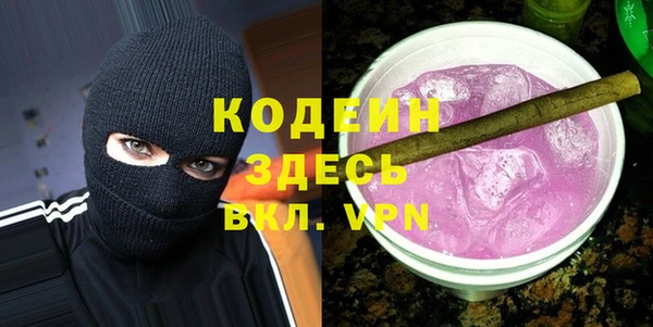индика Балахна
