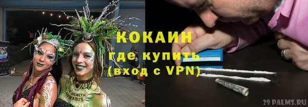 индика Балахна