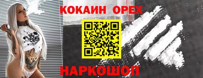 кокс Кандалакша