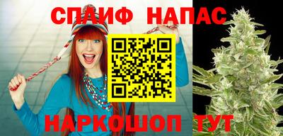 ПСИЛОЦИБИНОВЫЕ ГРИБЫ Камышлов