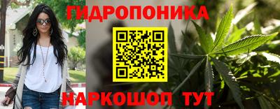 кокс Кандалакша